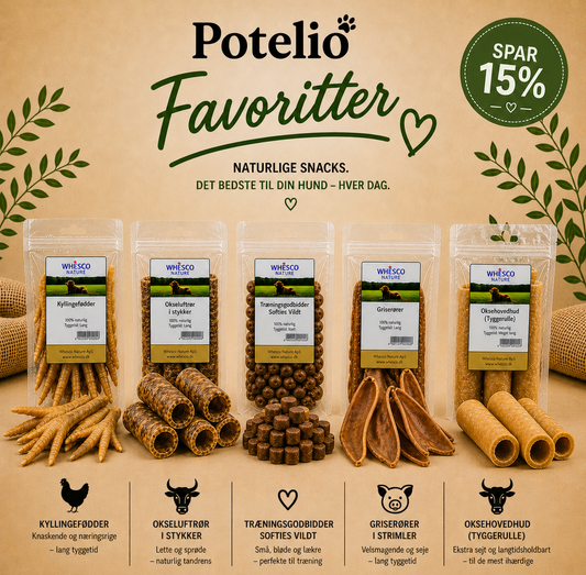 Potelio Favoritter